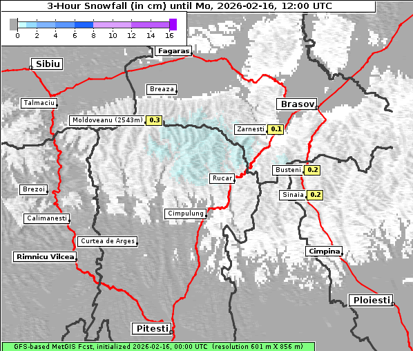 Neuschnee, 16. 2. 2026