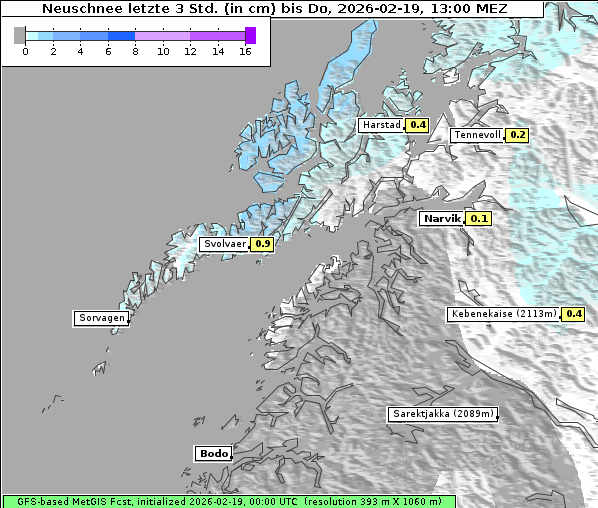 Neuschnee, 19. 2. 2026