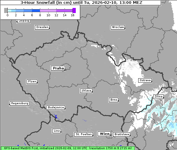 Neuschnee, 10. 2. 2026