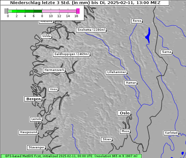 Niederschlag, 11. 2. 2025