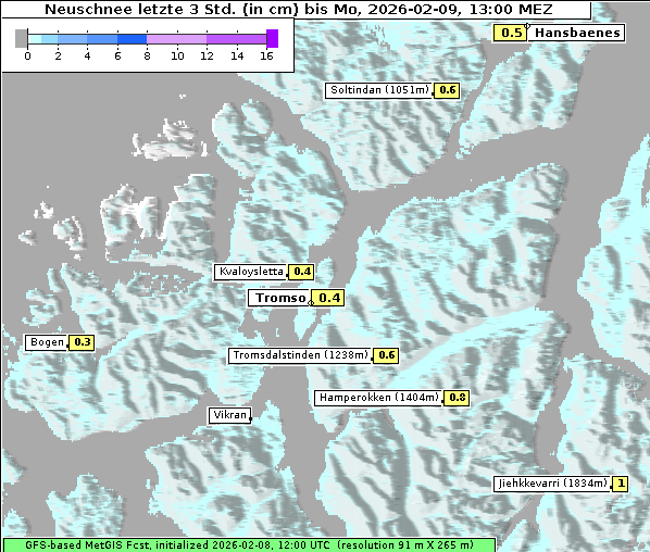 Neuschnee, 9. 2. 2026