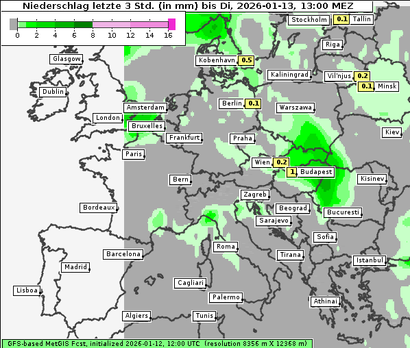 Niederschlag, 13. 1. 2026