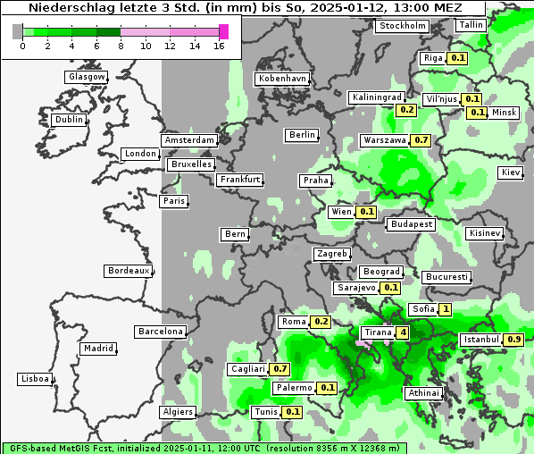 Niederschlag, 12. 1. 2025