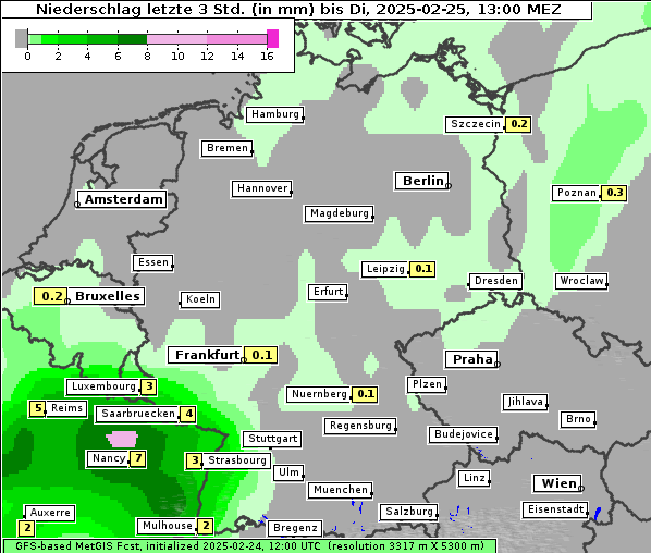 Niederschlag, 25. 2. 2025