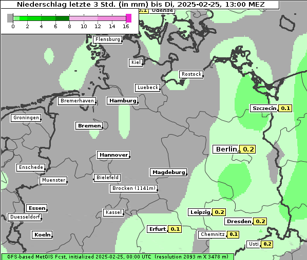 Niederschlag, 25. 2. 2025