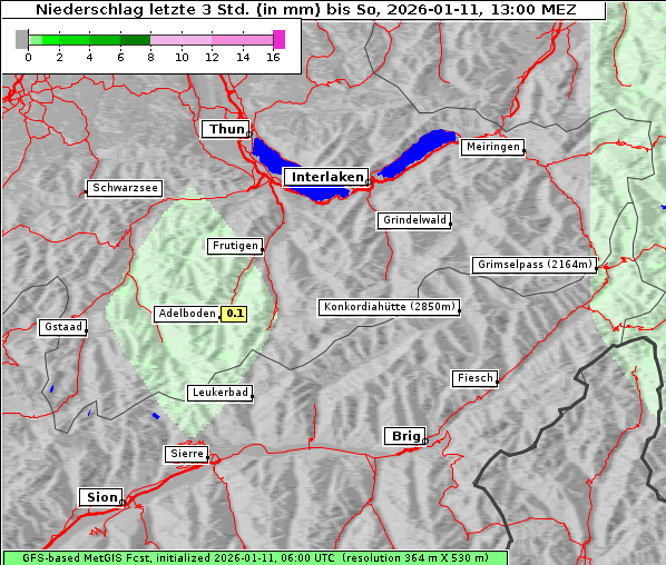 Niederschlag, 11. 1. 2026