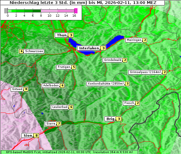 Niederschlag, 11. 2. 2026