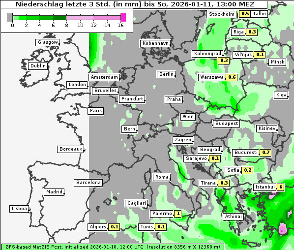 Niederschlag, 11. 1. 2026