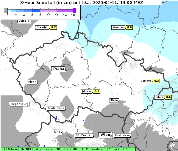 Neuschnee, 11. 1. 2025