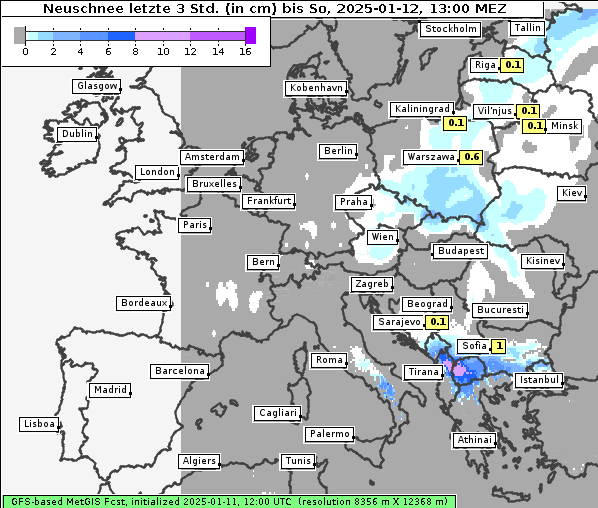 Neuschnee, 12. 1. 2025